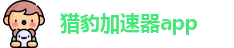 猎豹加速器app